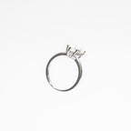 Astaréa Lunéa Oval Ring