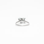 Astaréa Celeste Duo Ring