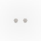Astaréa Fleur Étoilée Studs